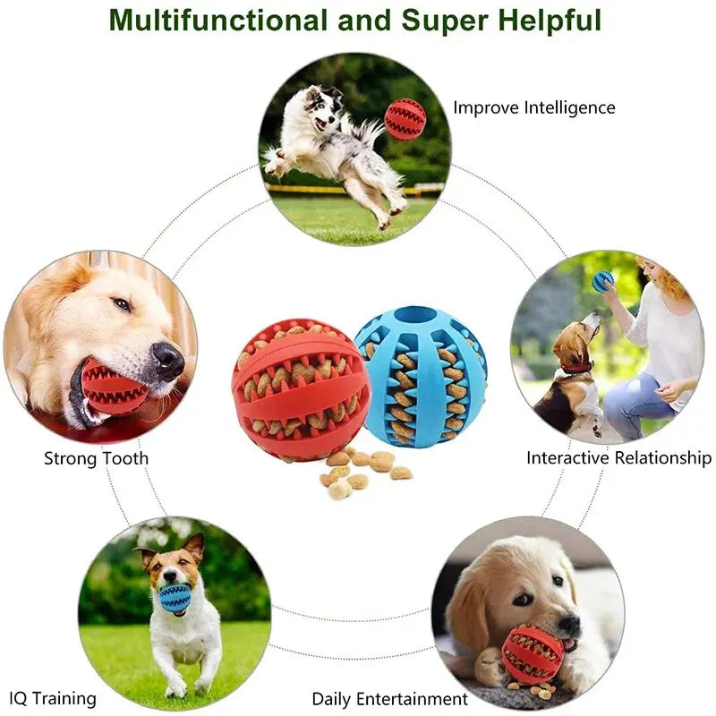 Balle SnackyBall™ – Le jouet malin qui amuse, nourrit et nettoie les dents de votre chien !